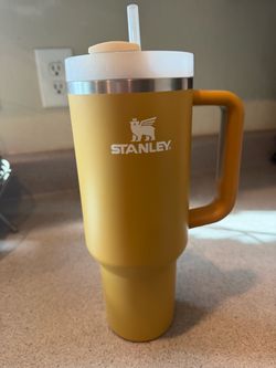 Stanley Quencher Tumbler with Handle and Straw