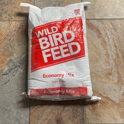 Bird Food