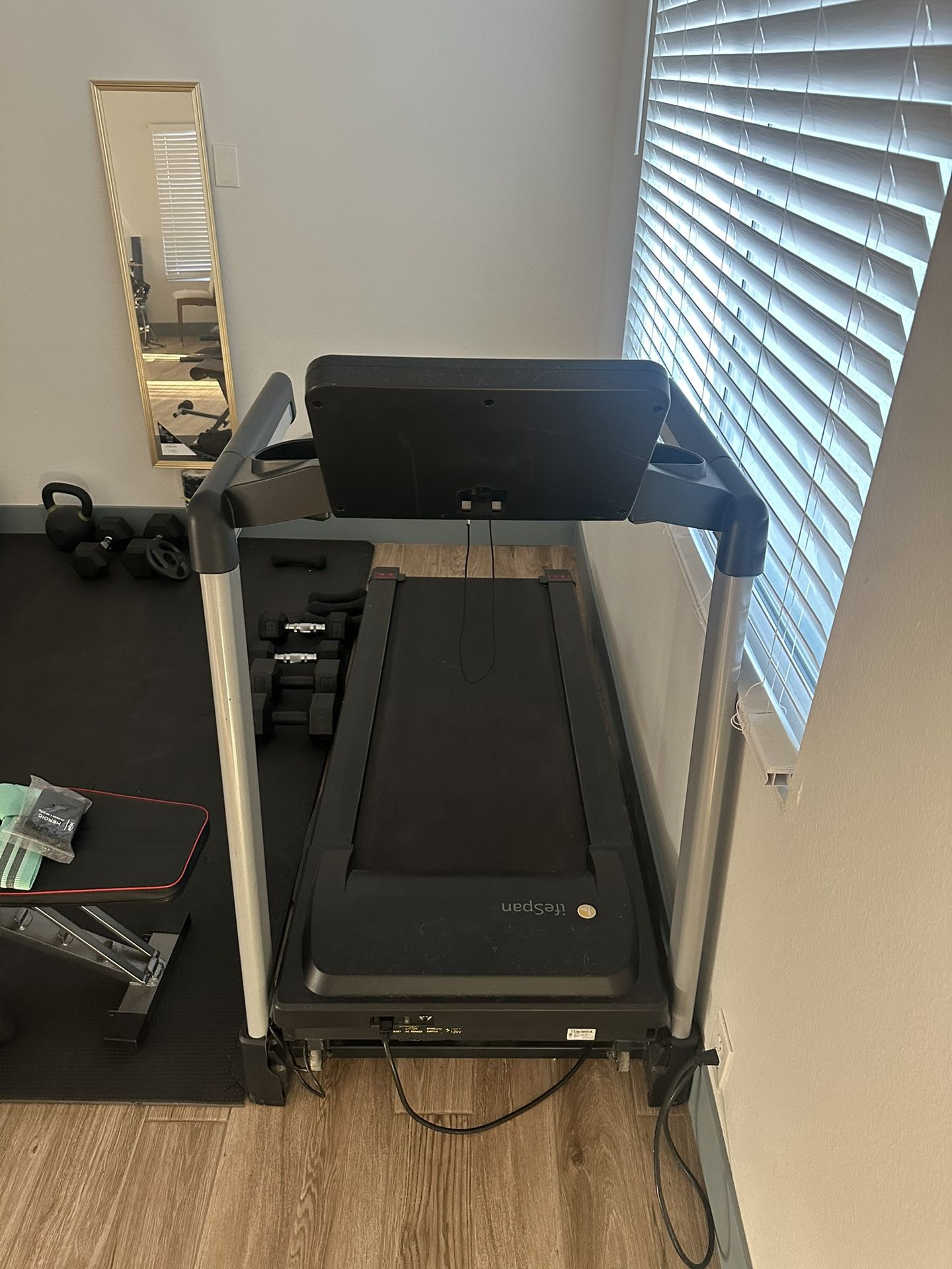 Life Span Treadmill