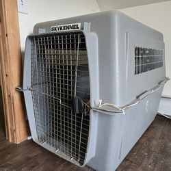 XXL airplane dog crate