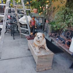 Decorar....El ..Jardin..Un. ..Perroy. .Un ...Mono