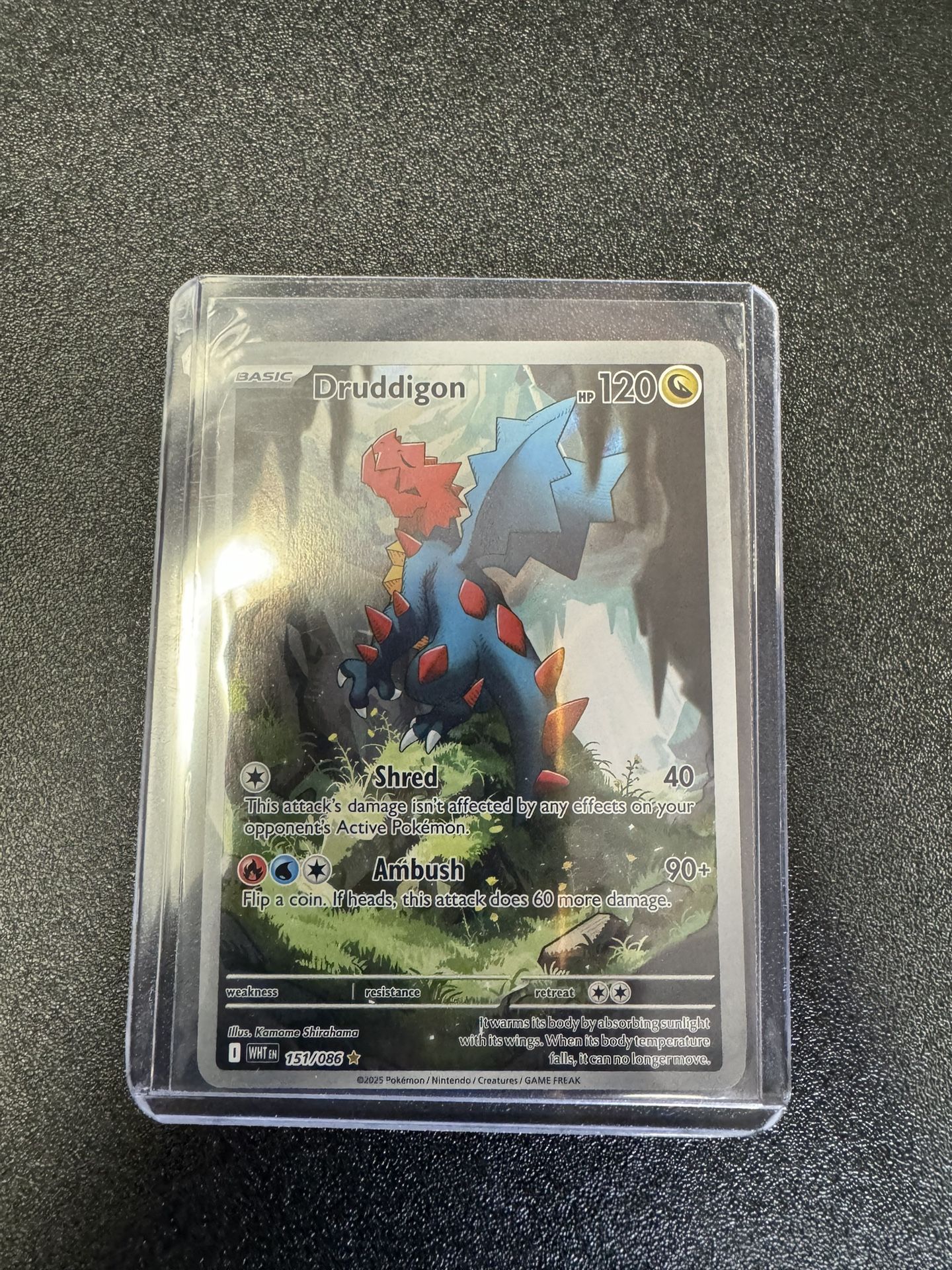 Pokémon TCG Druddigon 151/086 Illustration Rare White Flare EN NM