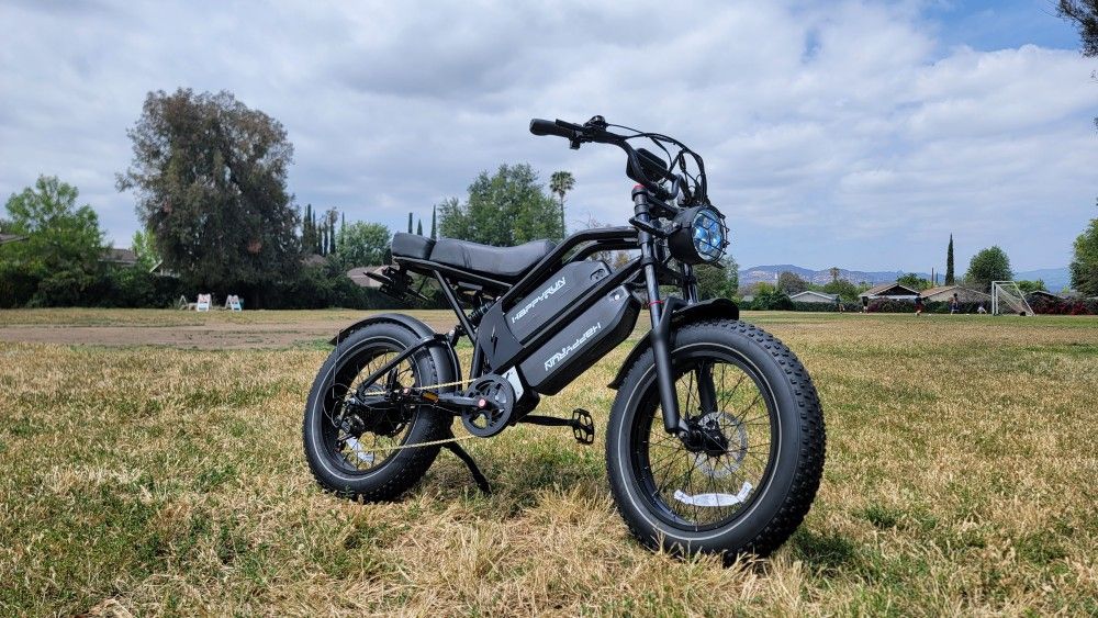 Electric Bike 2000w CARGO or 2 SEATER