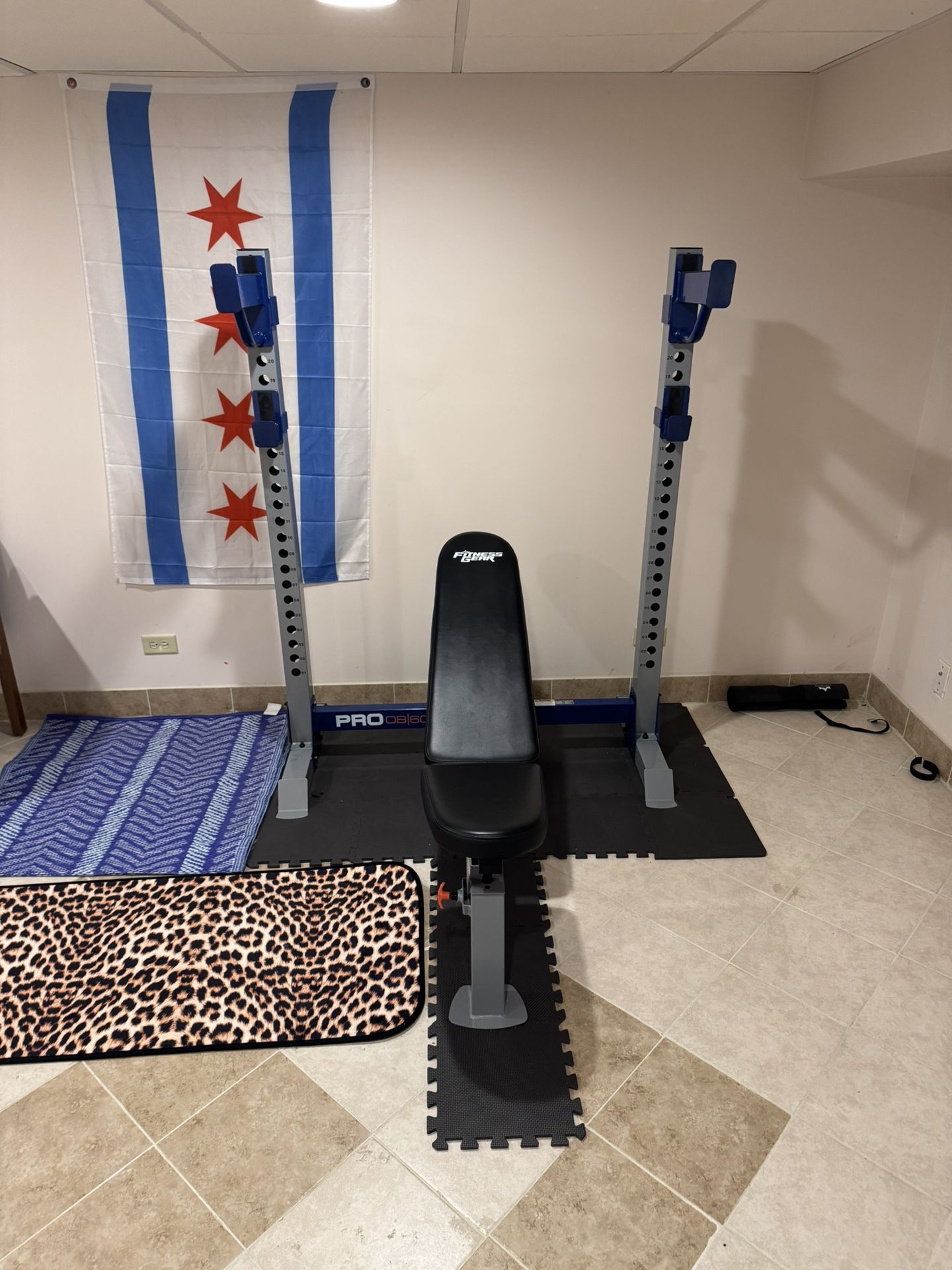 Fitness Gear Pro 600