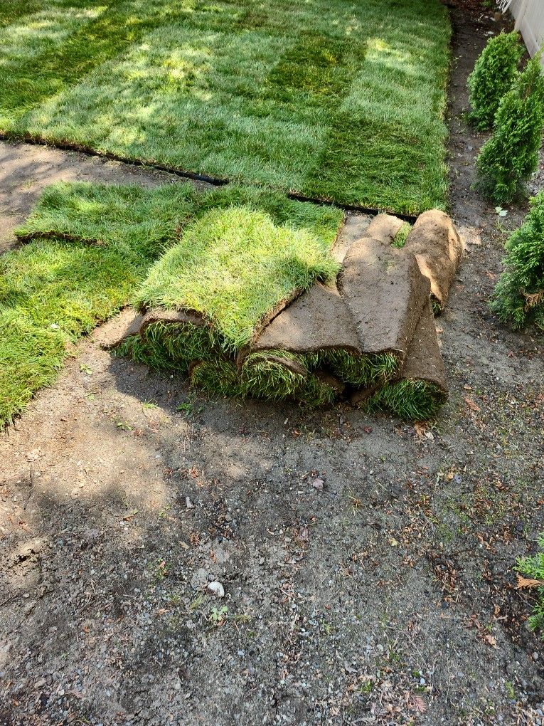 Extra Sod for sale