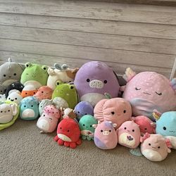 Squishmallow Collection Lot 