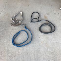 One Show Steer Halter (Sold Black One) 