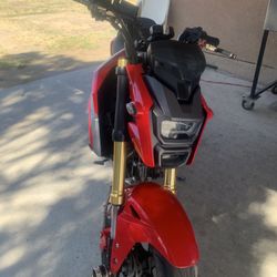 2017 Honda Grom