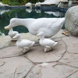 Backyard decoration