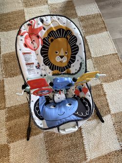 Baby Bouncer | Easy to Wash Cover