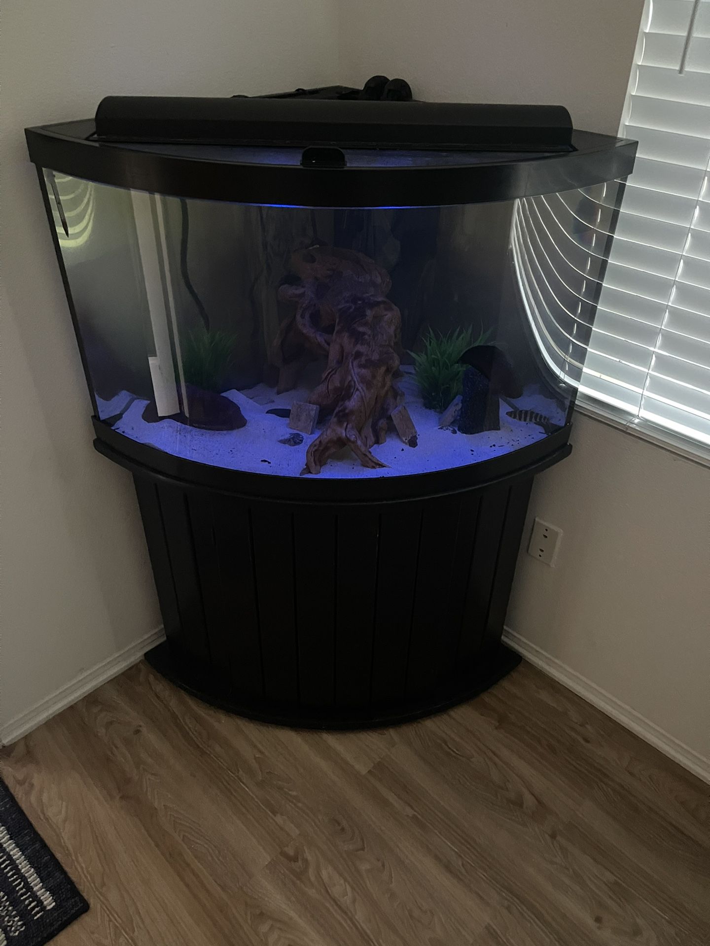 54 gallon shop corner tank