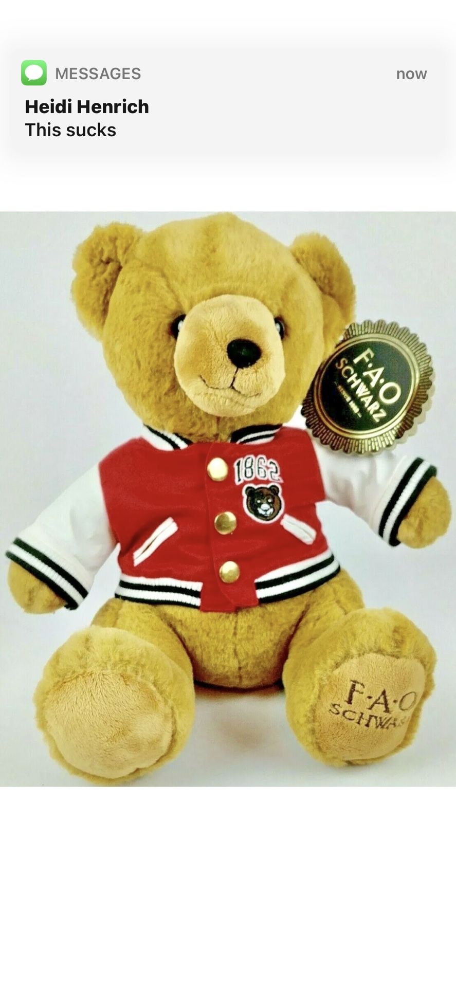 FAO Schwartz Teddy Bear New