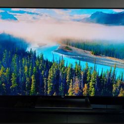 Sony Bravia 65" Class LED X900E Series, 2160p, Smart 4K UHD TV with HDR