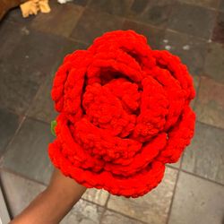 Massive single crochet rose