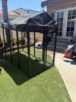 Outdoor Dog Kennel