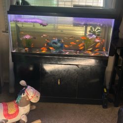 55 Gallon Aquarium With Stand