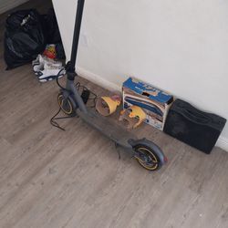 Electric scooter.