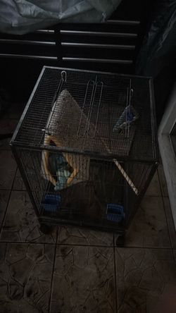Metal Bird Cage with Accessories
