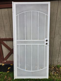Storm Door 36x80, used