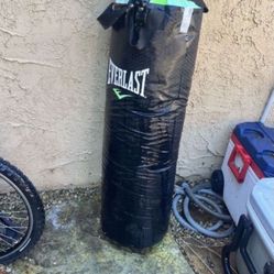 Punching Bag With Gloves 