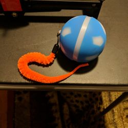 Pet Droid Interactive Dog & Cat Ball