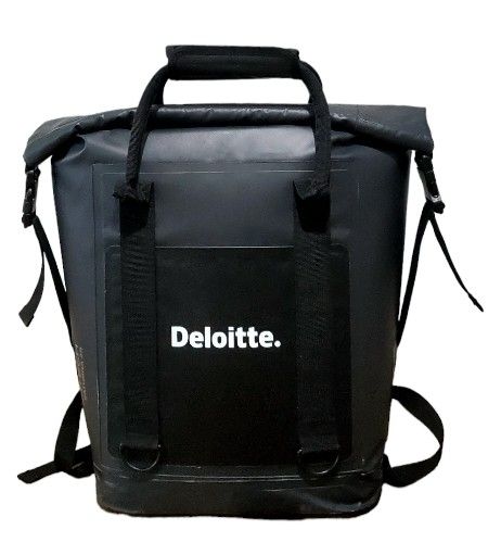 Stormtech Saturna 24 Can Cooler Backpack Black/Dolphin Large Insulated Wet Bag Beach Kayak Picnic