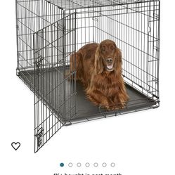 Dog kennel 