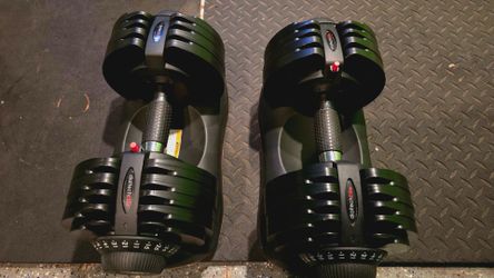 DELTECH DUMBBELLS 66LB ADJUSTABLE DUMBBELL WEIGHTS