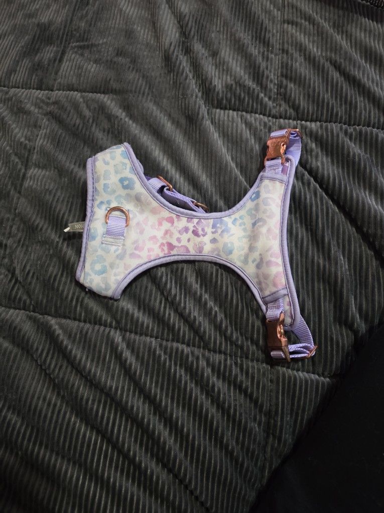Small Dog Harness