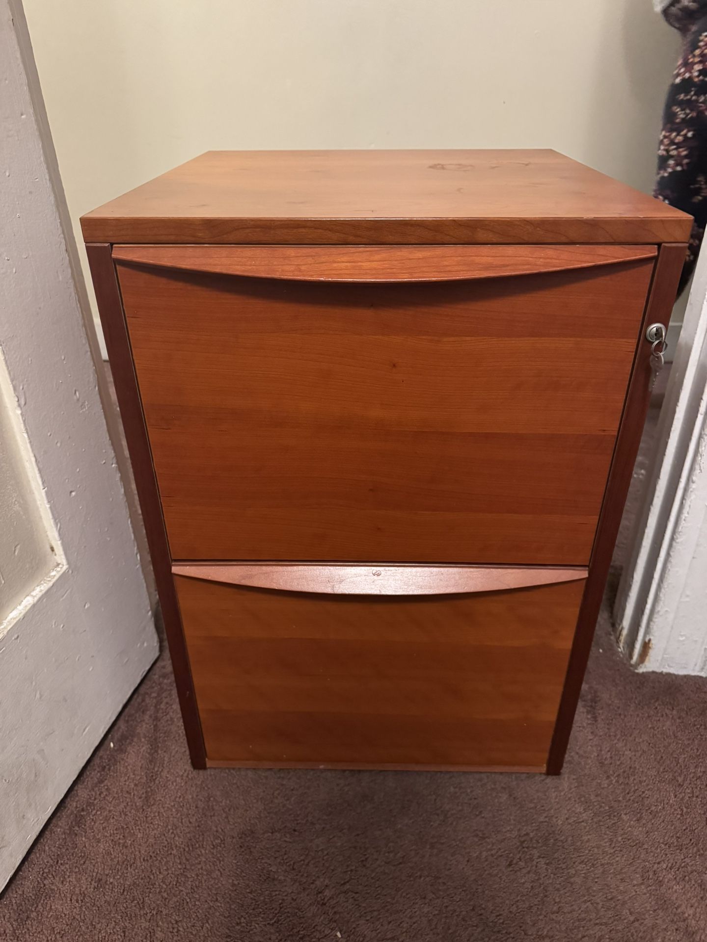 (2) DRAWER OFFCE CABINET $100
