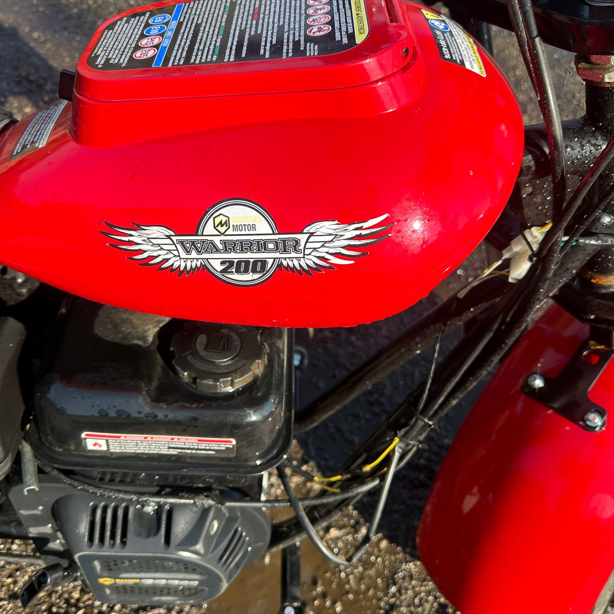 Massimo Motor Warrior 200