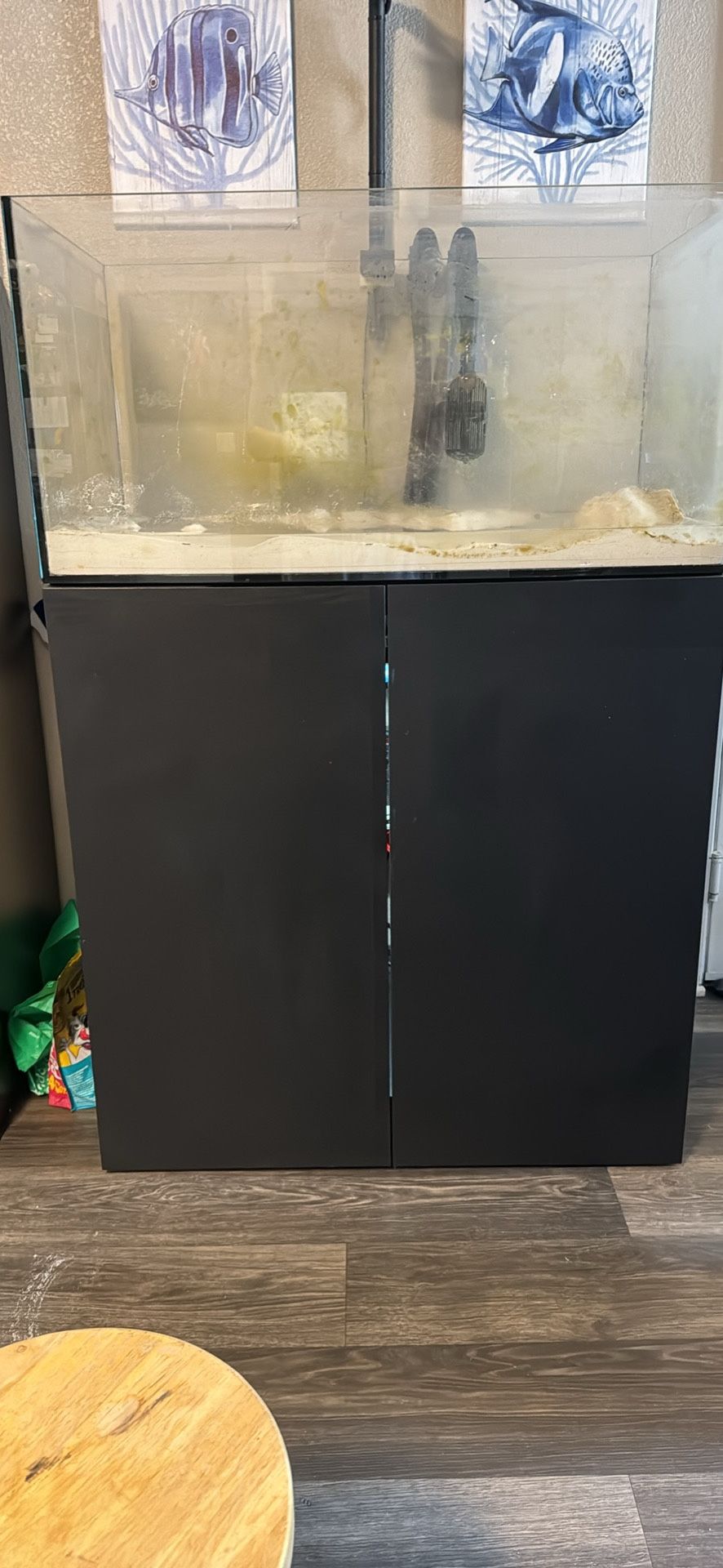 Black Waterbox Aquarium