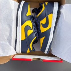 Nike Dunk Michigan (PS) 