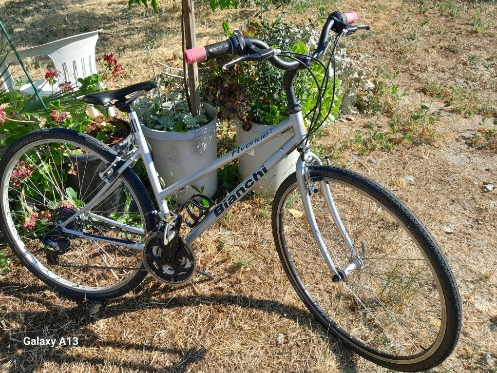 Woman's Bianchi Avenue Bike