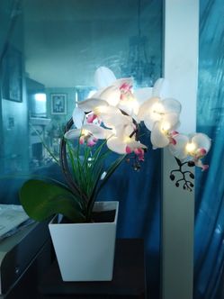 Artificial Orchids That Light Up
