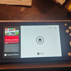 Nintendo Switch Lite 
