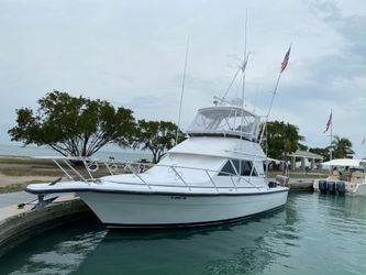 Phoenix sportfisher 38’