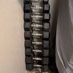 Paramount Dumbbell Weights & Bench