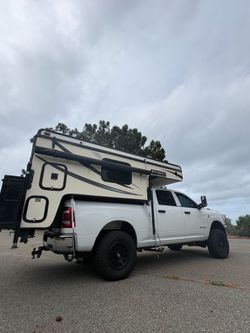Palomino  SS-1251  (2014)