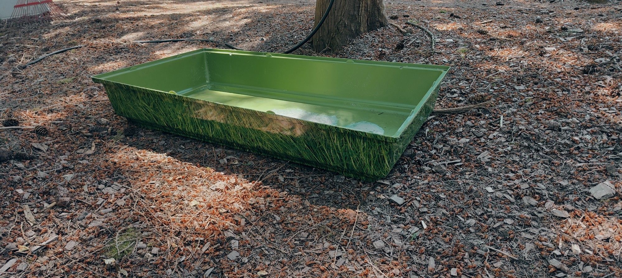 Free, Small Pet Base Tray For Reptiles, Birds, Gerbils, And Hamsters. Terrarium