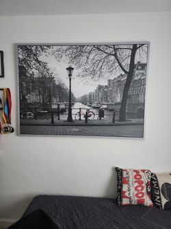 IKEA PICTURE ALMOST NEW - MOVING OUT