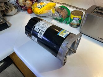1.65 HP Pool Pump Motor