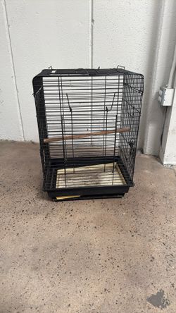 Bird Cage