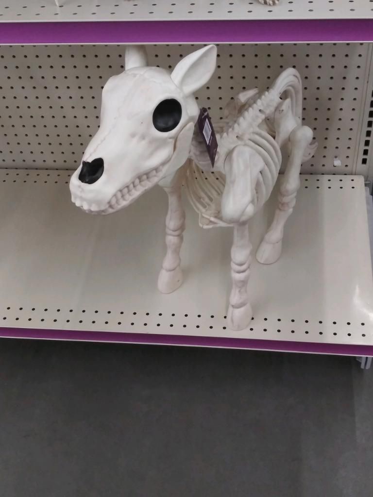 Tractor Supply Horse Skeleton