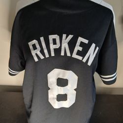 Collectible Cal Ripken Jr Starter Jersey men's xl in great condition 

All proceeds go towards my cancer treatment and recovery.  Thank you and God bl