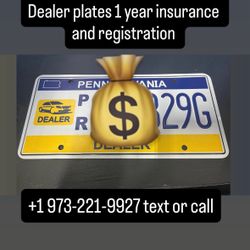 Dealer Plates 