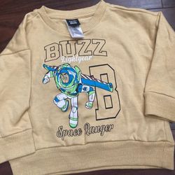 Toy Story 2-3T Sweaters