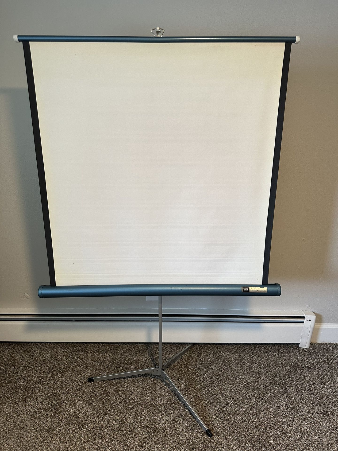 Vintage Sears Projection Screen