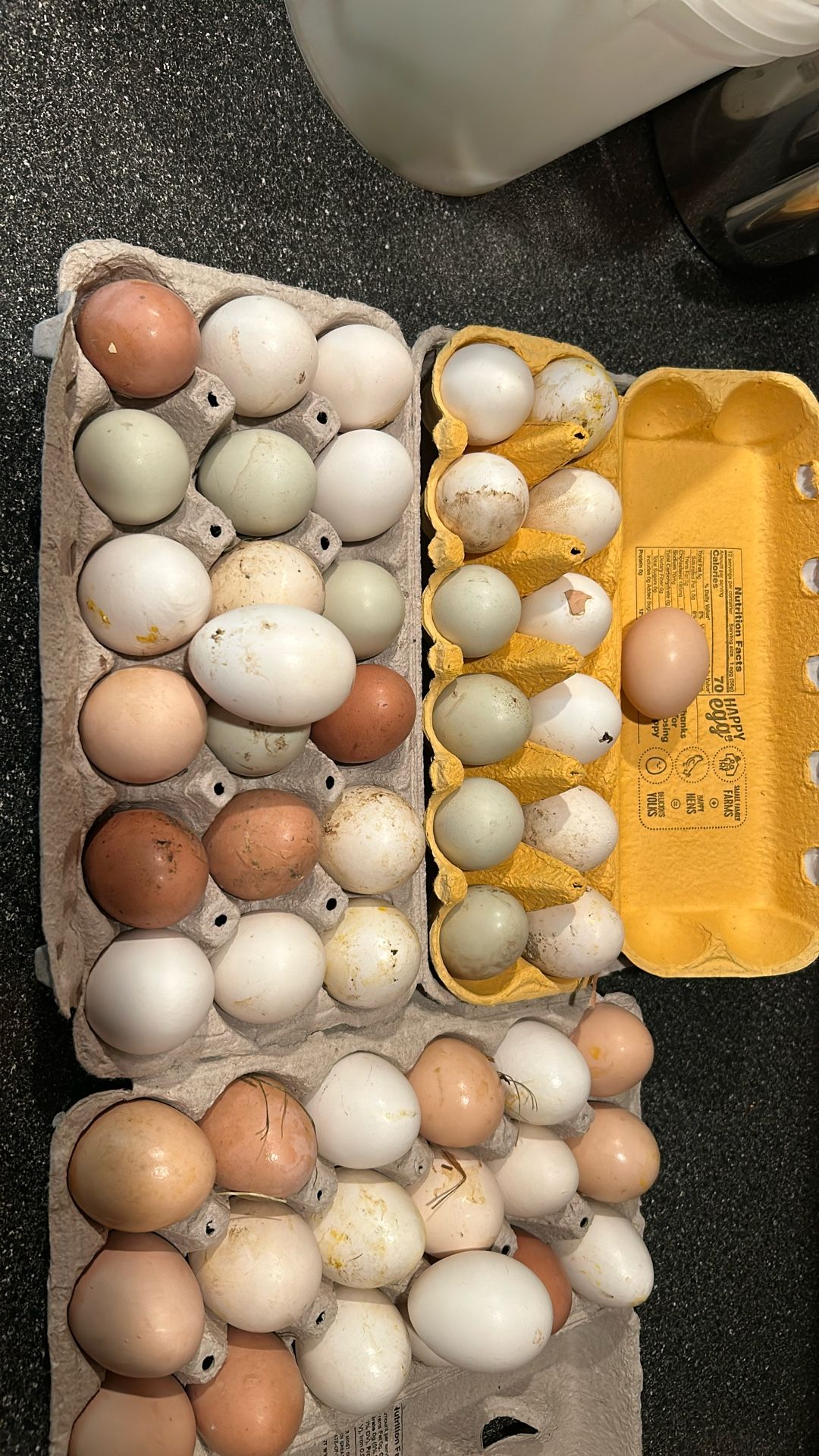 Eggs Farm Fresh
