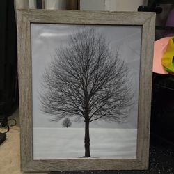 Glass Portrait Of Tree